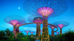 Explore Singapore’s stunning Gardens by the Bay on our Secrets of Southeast Asia itinerary