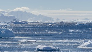 Broaden your knowledge of Captain James Cook’s historic crossing of the Antarctic Circle with polar explorer Bill Thayer