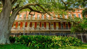 Explore our New Orleans & Southern Charms itinerary with members of the Viking family