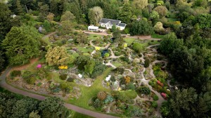 Delve into Edinburgh’s horticultural heritage at one of the world's leading botanic gardens