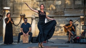 Admire the artistic beauty of flamenco with guest lecturer and historian Lucy Hallman Russell