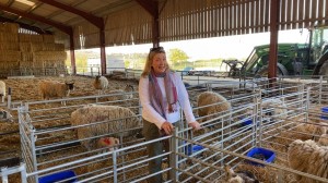 At Home at Highclere Castle: Lambing