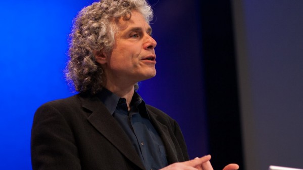 The surprising decline in violence | Steven Pinker