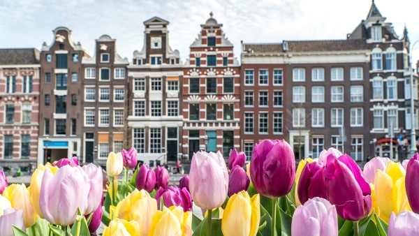 Get a glimpse into Amsterdam’s past with guest lecturer Sherry Hutt, PhD