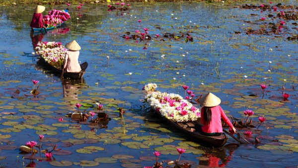 Discover the Marvels of the Magnificent Mekong with Neil Barclay