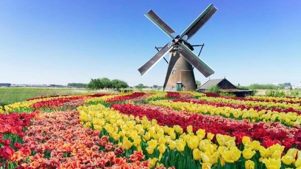 Discover our Tulips & Windmills itinerary with Joost Ouendag and Irene Pieper