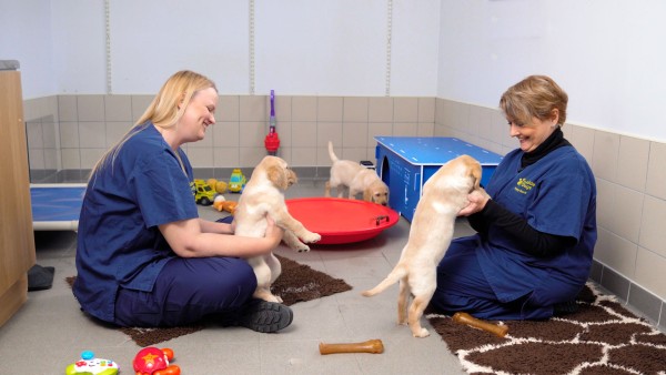 Anne Diamond visits Guide Dogs for the Blind Association