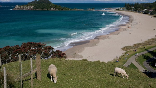 Explore New Zealand's Bay of Plenty with local guide Graeme Crossman