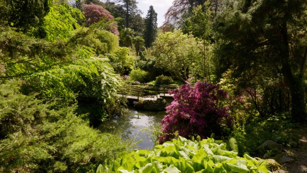 Explore Powerscourt House in Ireland’s County Wicklow