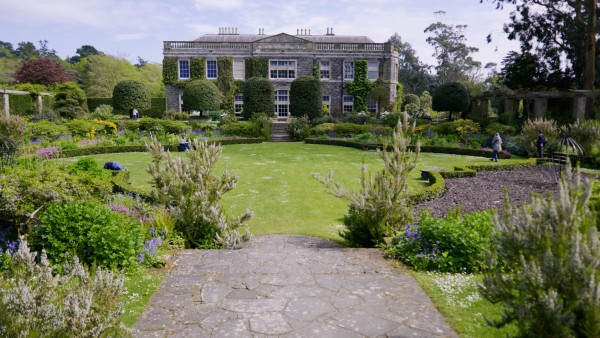 Journey to Giant’s Causeway and Mount Stewart in Northern Ireland