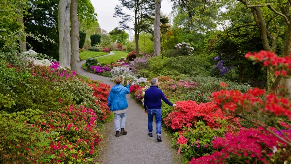 Journey through Bodnant Garden and Snowdonia National Park with Paul Hervey-Brookes