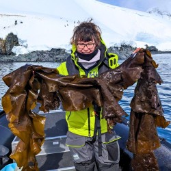 Dr. Freya Alldred, PhD