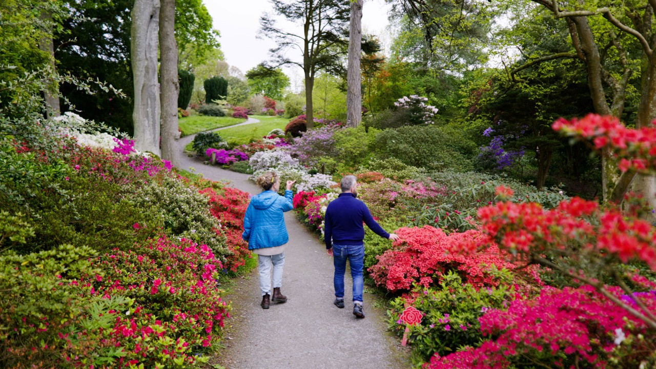 Discover Bodnant Garden and Snowdonia in Wales