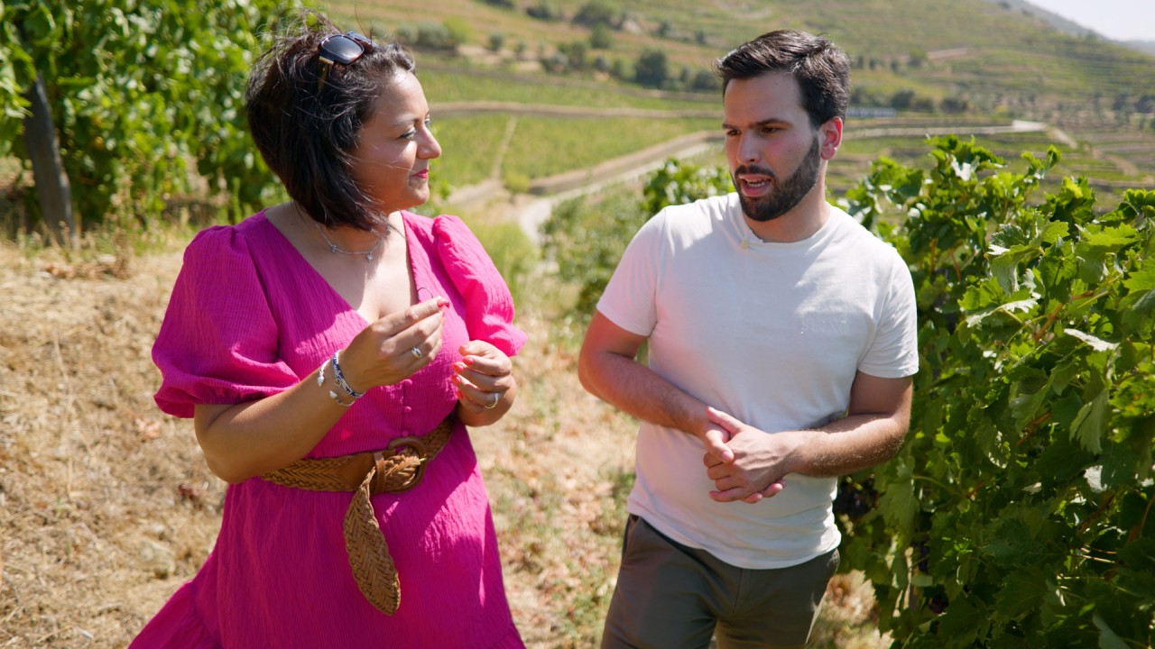 Discover the world of Sandeman port wine at Quinta do Seixo)