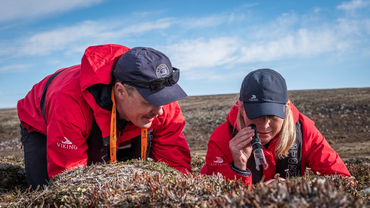 Karine Explores: Expedition voyages)