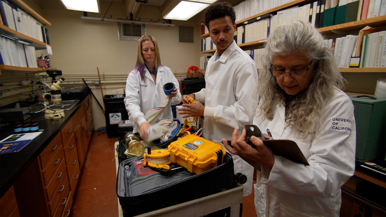 Unlock the secrets of the oceans with Dr. Damon Stanwell-Smith